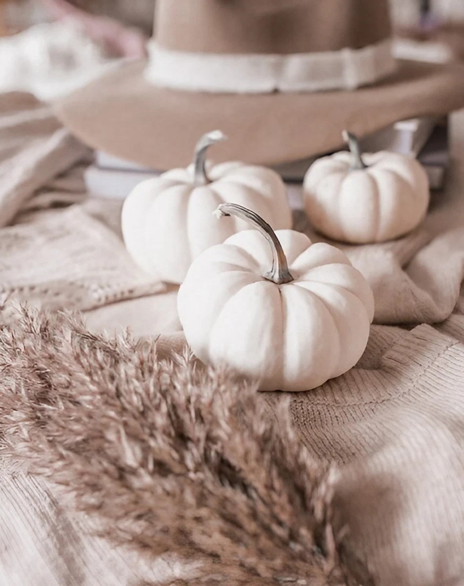 Decorate Differently: 10 Affordable Ways to Get Your Home Ready for Fall